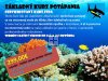 Základný kurz potápania - Certifikovaný potápačský kurz "Samostatný potápač - SCUBA Open Water Diver" - Darčekový poukaz